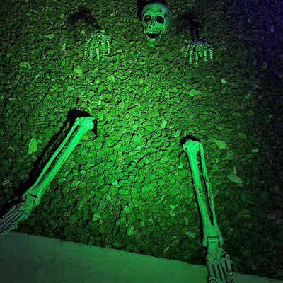 Halloween Skeleton Stakes
