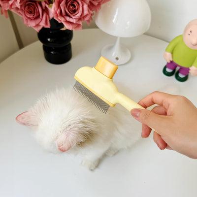 Pets Grooming Brush