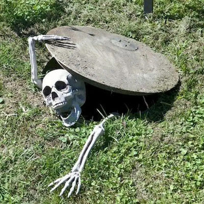 Halloween Skeleton Stakes