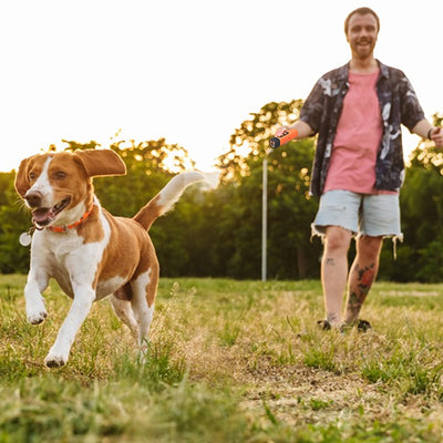 Dog Repellent