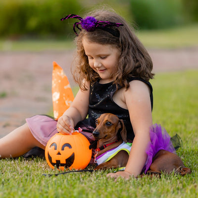 Plastic Halloween Pumpkin Buckets
