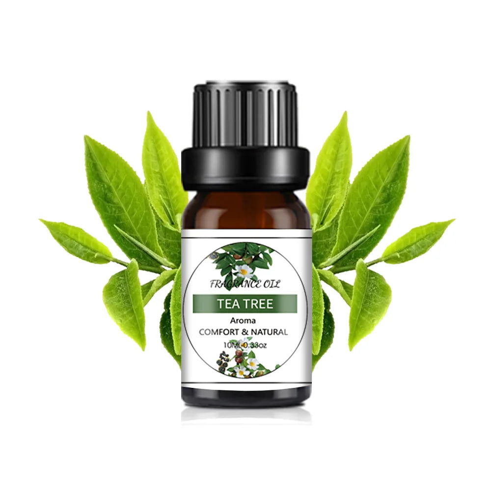 10ml Water-soluble Coco Essential Oil Humidifier Fragrance Oil Pure Natural Diffusive Aromatherapy Air Freshening Lemon Rose Oil