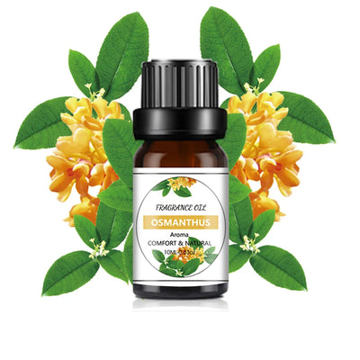 10ml Water-soluble Coco Essential Oil Humidifier Fragrance Oil Pure Natural Diffusive Aromatherapy Air Freshening Lemon Rose Oil