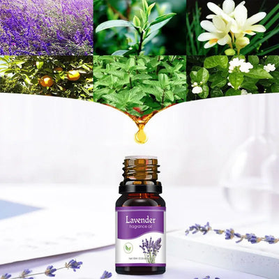 Aromatherapy Water Soluble Oil Essential Oil For Aroma Diffuser Humidifier Home 10ml Freshener Scents Fragrance Oil Perfume