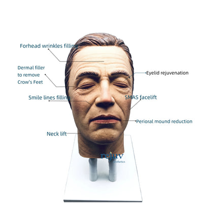 Male Realistic Injection Mannequin Face Training Model Training Head for Facial Injections Light Skin with Masculine Features